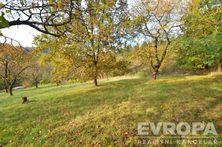 Prodej pozemku pro bydlení, Pečice - Pečičky, 2320 m2