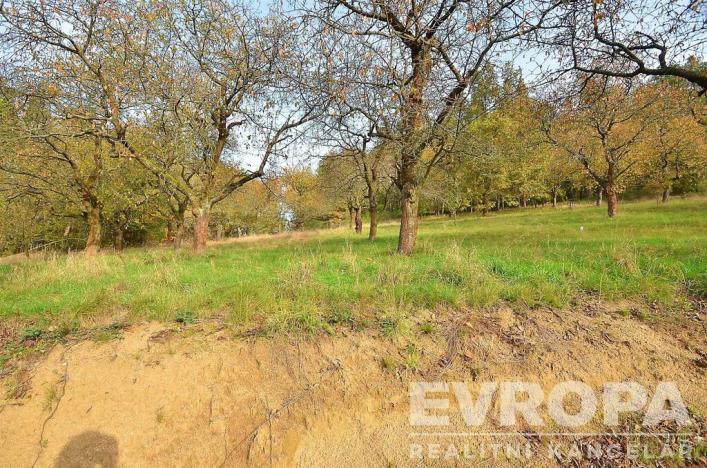 Prodej pozemku pro bydlení, Pečice - Pečičky, 2330 m2