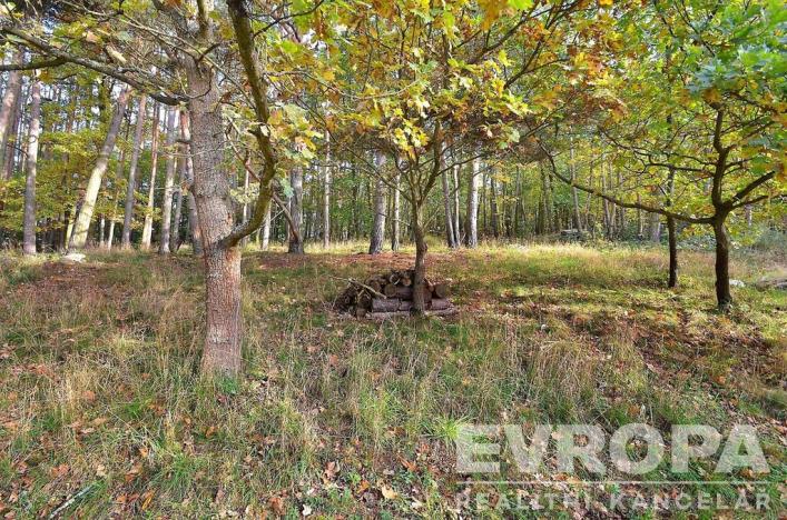 Prodej pozemku pro bydlení, Pečice - Pečičky, 2330 m2