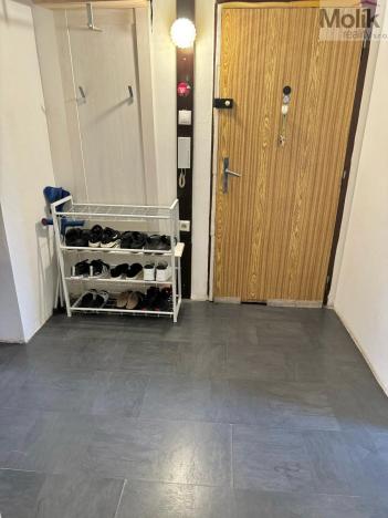 Prodej bytu 3+1, Teplice - Prosetice, Pod školou, 74 m2