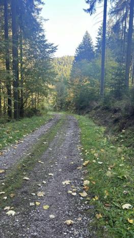 Prodej louky, Staré Buky - Prostřední Staré Buky, 24227 m2