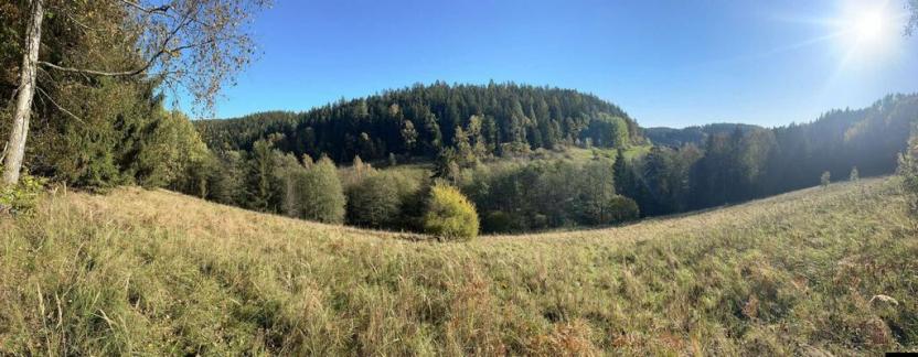 Prodej louky, Staré Buky - Prostřední Staré Buky, 24227 m2