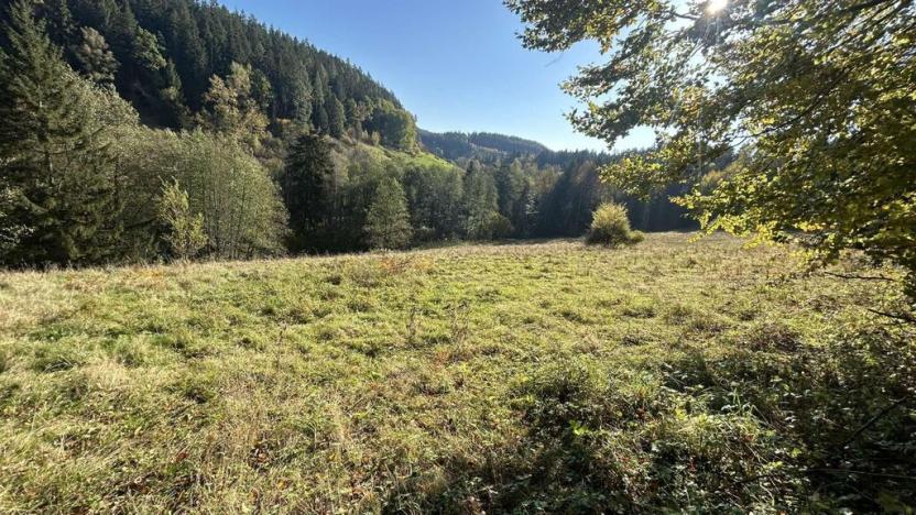 Prodej louky, Staré Buky - Prostřední Staré Buky, 24227 m2