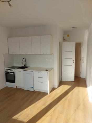 Pronájem bytu 1+1, Karlovy Vary - Rybáře, Konečná, 34 m2