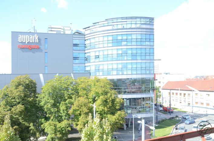 Pronájem bytu 1+kk, Hradec Králové - Pražské Předměstí, Gočárova třída, 36 m2