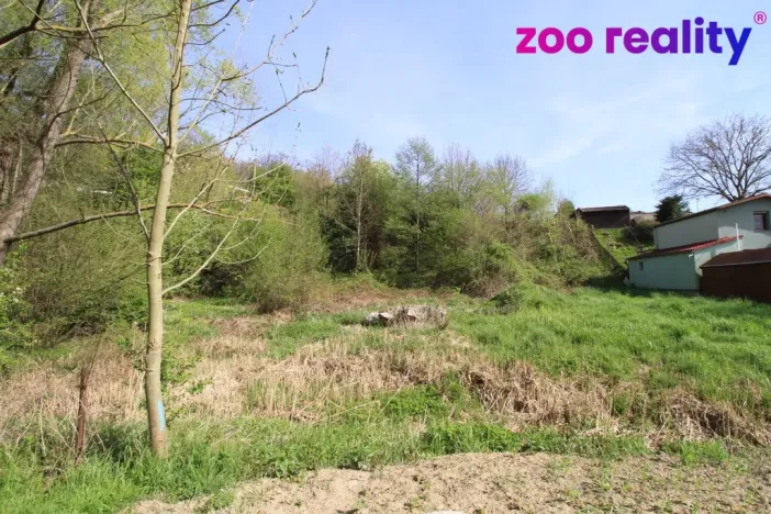 Prodej pozemku pro bydlení, Vidov, 1215 m2