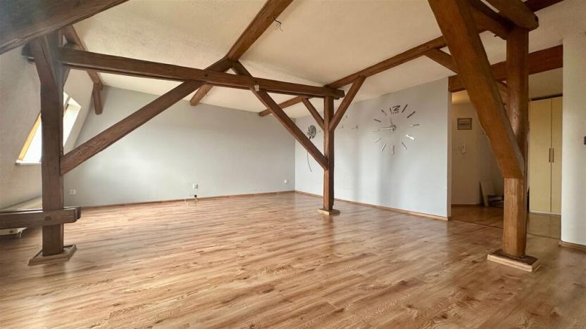 Prodej bytu 3+1, Cheb, Karlova, 178 m2