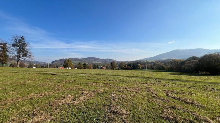 Prodej louky, Kozlovice, 37389 m2