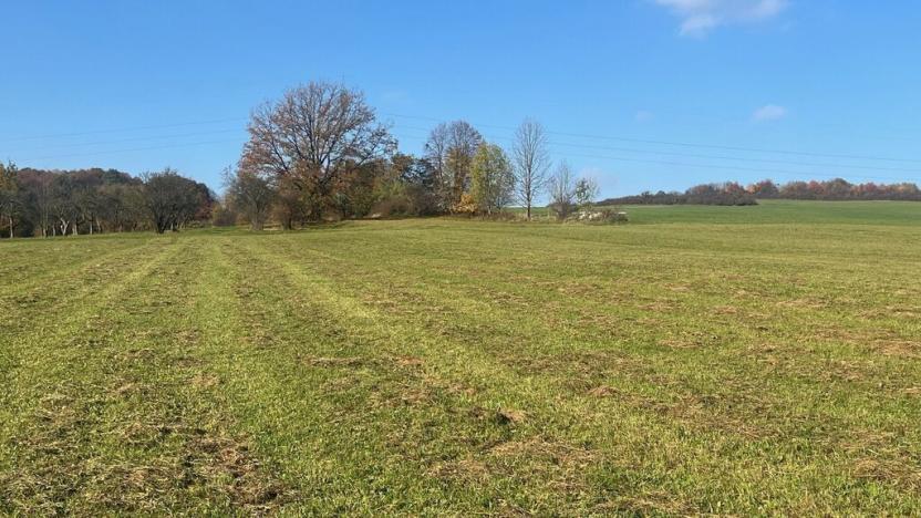 Prodej louky, Kozlovice, 37389 m2