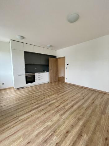 Pronájem bytu 1+kk, Karlovy Vary - Drahovice, Mattoniho nábřeží, 31 m2