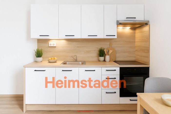 Pronájem bytu 1+1, Ostrava - Hrabůvka, Cholevova, 38 m2