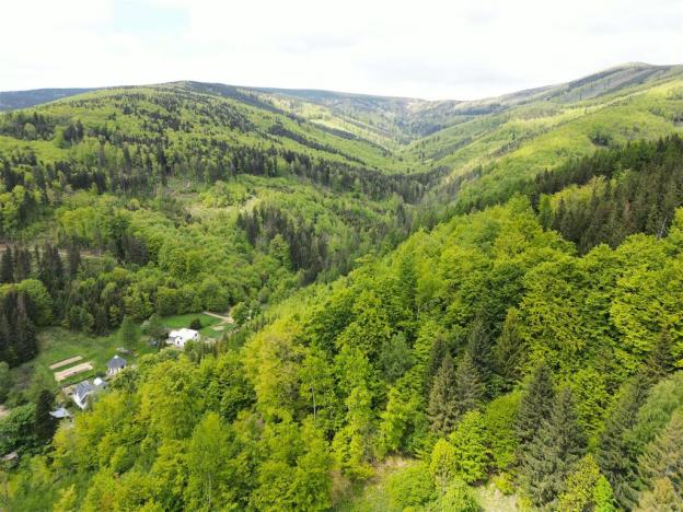 Prodej chalupy, Lipová-lázně - Horní Lipová, Horní Lipová, 420 m2