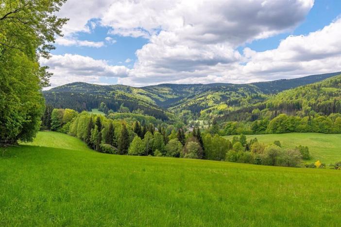 Prodej chalupy, Lipová-lázně - Horní Lipová, Horní Lipová, 420 m2