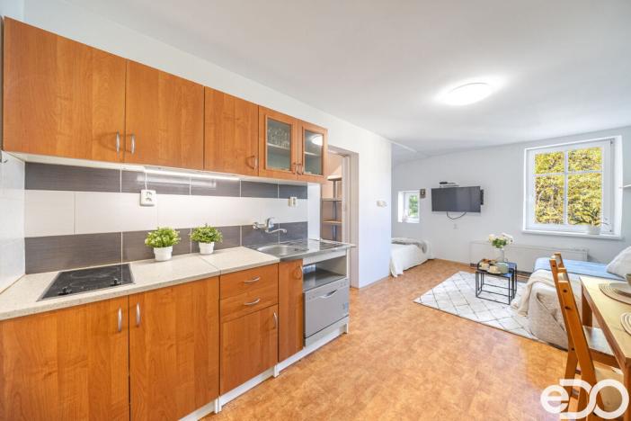 Prodej bytu 1+kk, Kořenov, 29 m2