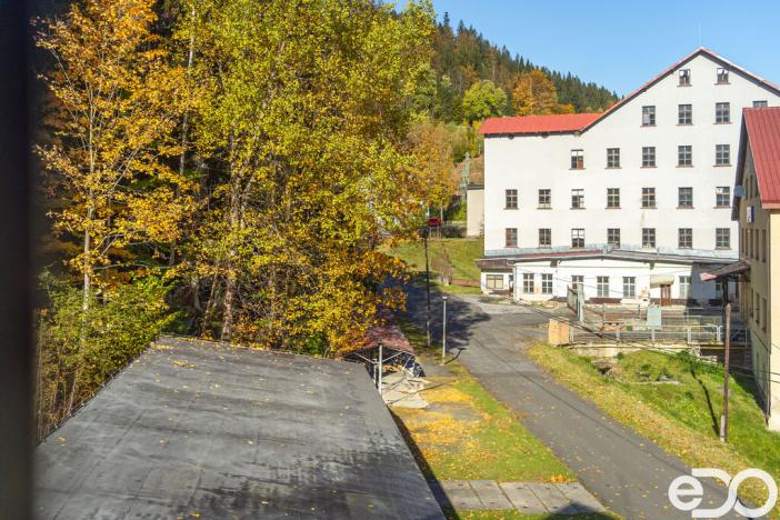 Prodej bytu 1+kk, Kořenov, 29 m2