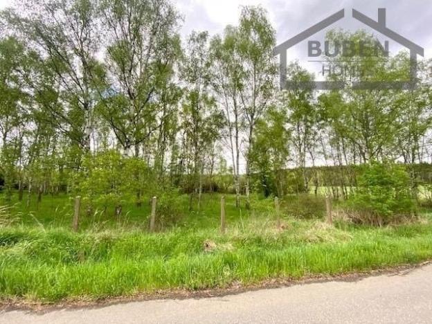 Prodej pole, Nová Ves, 10813 m2