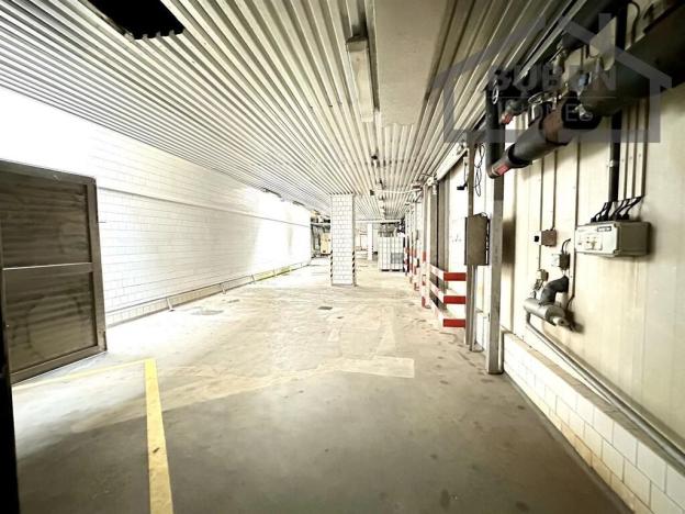 Pronájem komerční nemovitosti, Lom u Tachova, 50921 m2