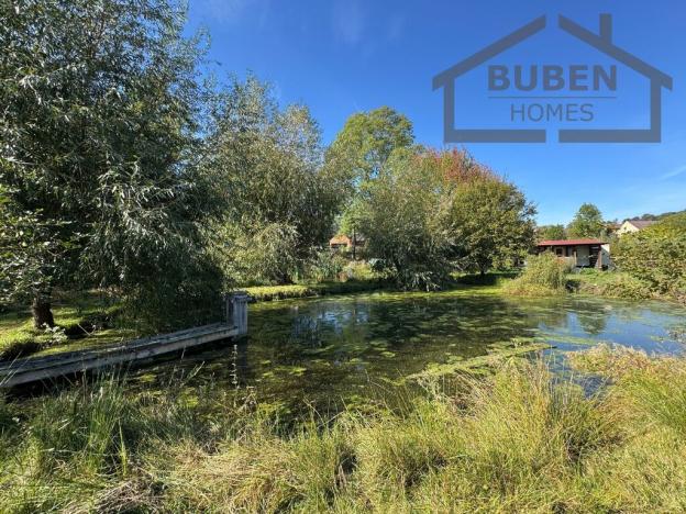 Prodej vícegeneračního domu, Bor - Kosov, 7880 m2