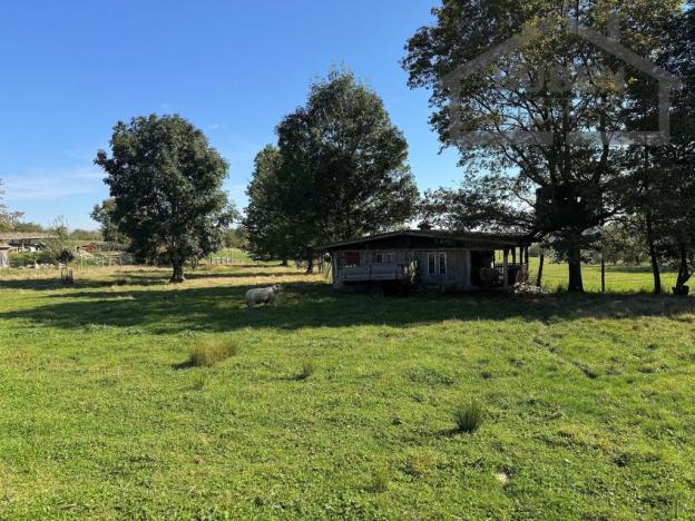 Prodej vícegeneračního domu, Bor - Kosov, 7880 m2