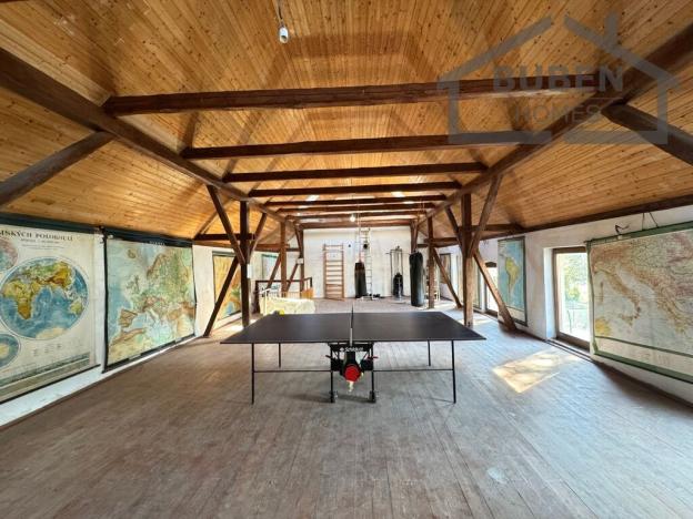 Prodej vícegeneračního domu, Bor - Kosov, 7880 m2