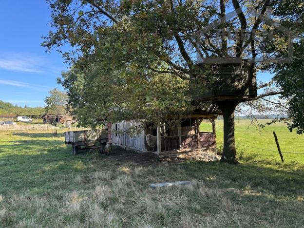 Prodej vícegeneračního domu, Bor - Kosov, 7880 m2