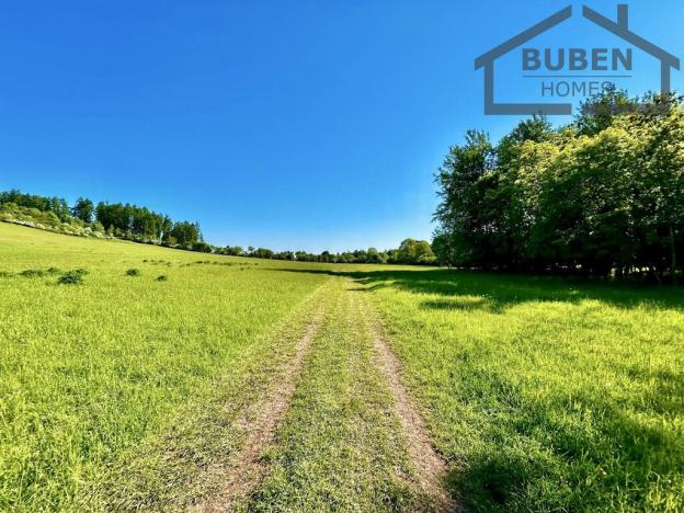 Prodej chaty, Černošín, 718 m2