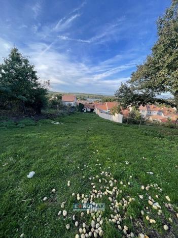 Prodej rodinného domu, Hlohovec, U sadů, 1953 m2