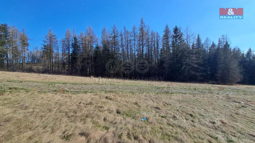 Prodej pozemku pro bydlení, Václavov u Bruntálu - Horní Václavov, 1095 m2