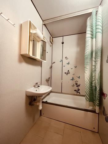 Pronájem bytu 1+kk, Ostrava - Poruba, Francouzská, 26 m2