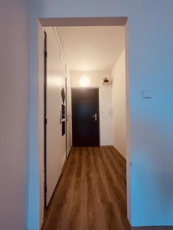 Pronájem bytu 1+kk, Ostrava - Poruba, Francouzská, 26 m2