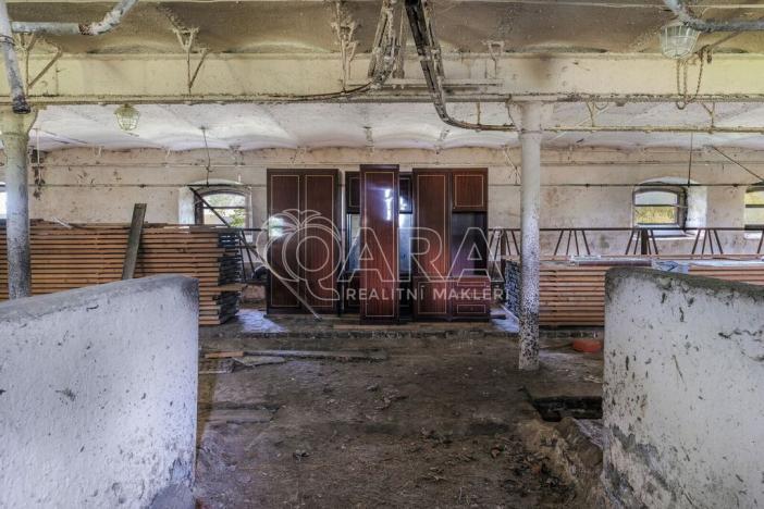 Prodej komerčního pozemku, Kolinec - Malonice, 3899 m2