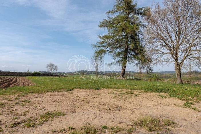 Prodej komerčního pozemku, Kolinec - Malonice, 3899 m2