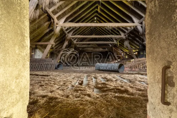 Prodej komerčního pozemku, Kolinec - Malonice, 3899 m2