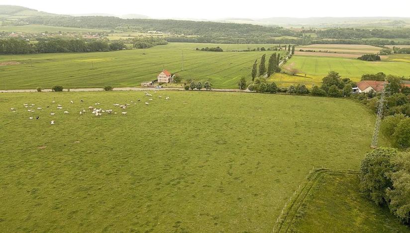 Prodej pozemku pro bydlení, Skuhrov, 769 m2