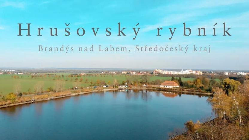 Prodej rybníku, Brandýs nad Labem-Stará Boleslav, 65148 m2