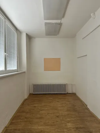 Pronájem komerční nemovitosti, Děčín, Lesní cesta, 230 m2