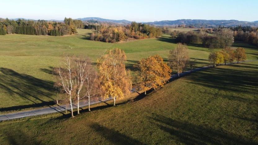 Prodej pozemku pro bydlení, Kolinec - Tržek, 1688 m2