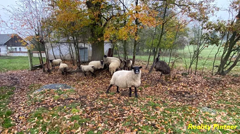 Prodej zemědělské usedlosti, Milevsko, 366 m2