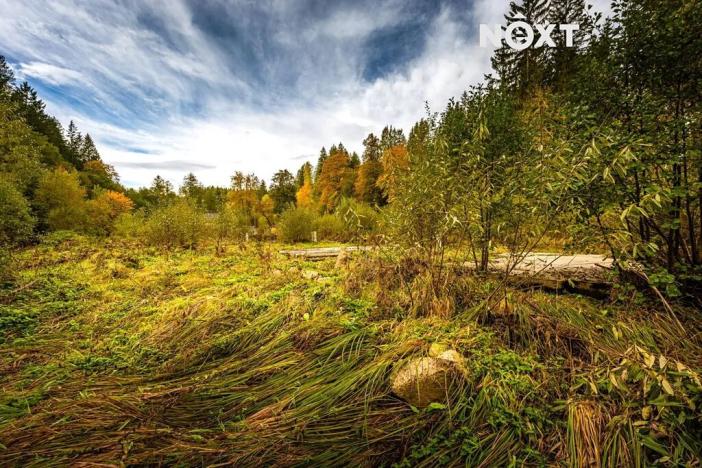 Prodej pozemku pro bydlení, Kaplice, 504 m2