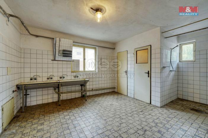 Prodej výrobních prostor, Chodová Planá, Kyjovská, 1564 m2