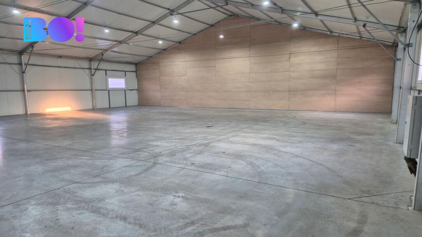 Pronájem skladu, Bohumín, Čs. armády, 300 m2