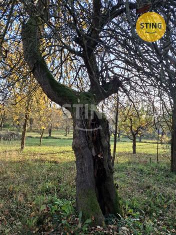 Prodej zemědělské usedlosti, Rájec, 529 m2