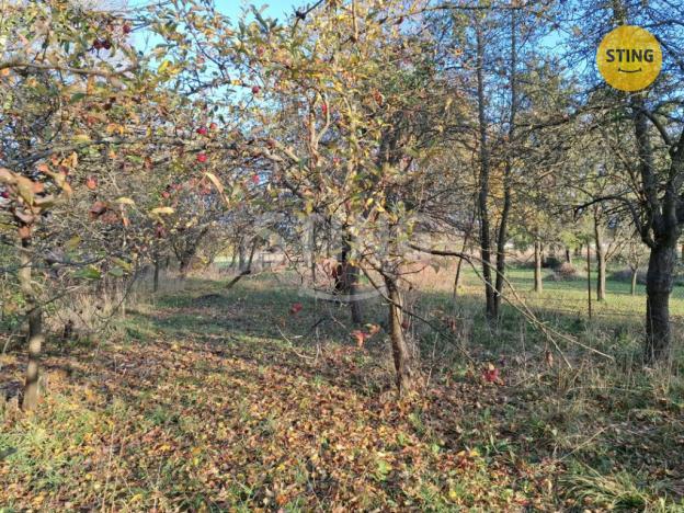 Prodej zemědělské usedlosti, Rájec, 529 m2