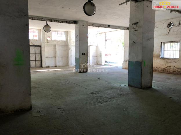 Prodej výrobních prostor, Všetaty - Přívory, Mělnická, 23788 m2