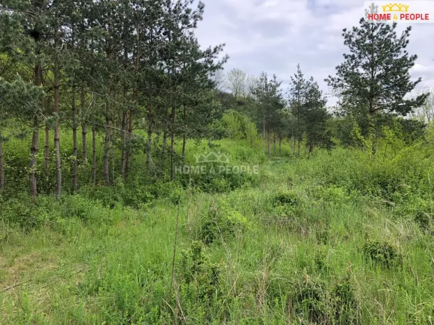 Prodej výrobních prostor, Všetaty - Přívory, Mělnická, 23788 m2