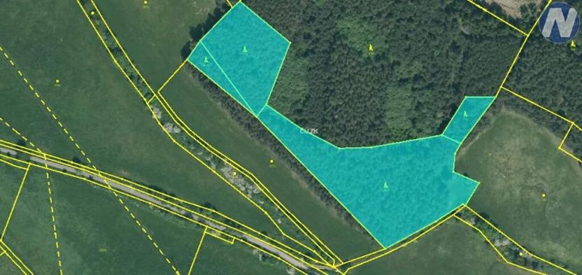 Prodej podílu lesa, Bušanovice, 17 m2