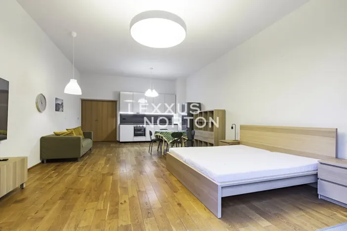 Pronájem bytu 1+kk, Praha - Bubeneč, Mlýnská, 53 m2