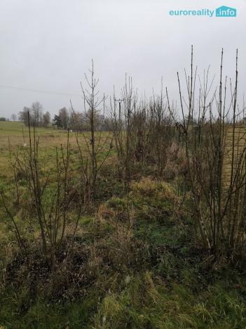 Prodej podílu 1/2 louky, Stanovice, 15437 m2