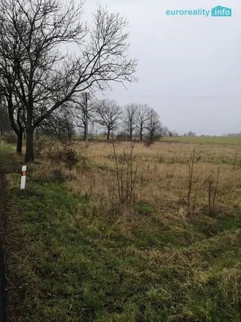 Prodej podílu 1/2 louky, Stanovice, 15437 m2