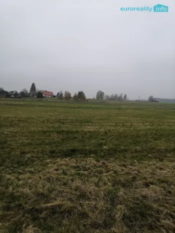 Prodej podílu 1/2 louky, 15437 m2